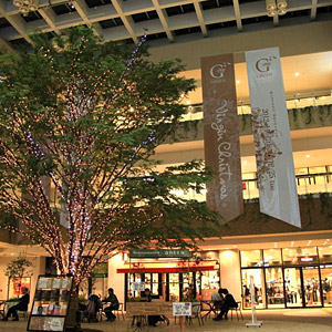 Takamatsu central shopping district