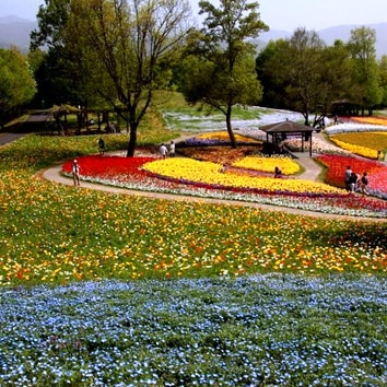 まんのう公園