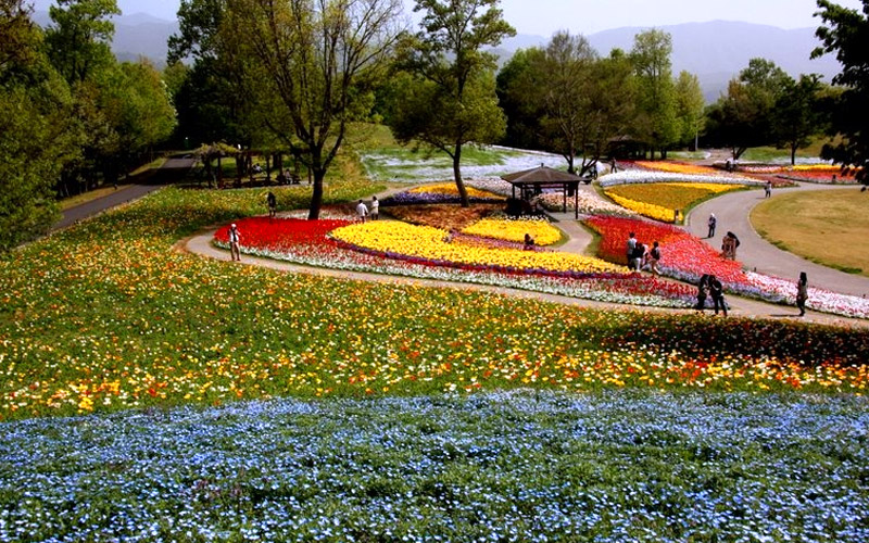 まんのう公園